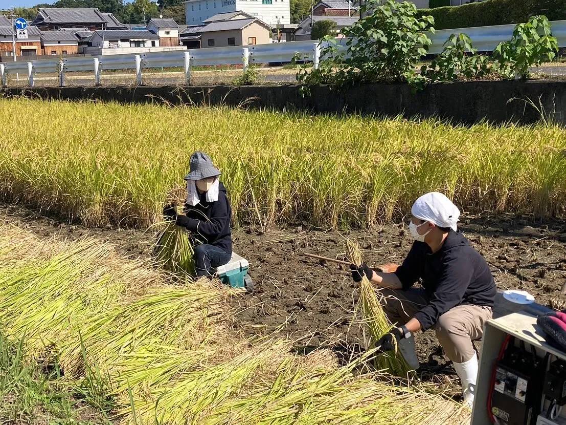 株式会社大和アグリファーム企画‼️