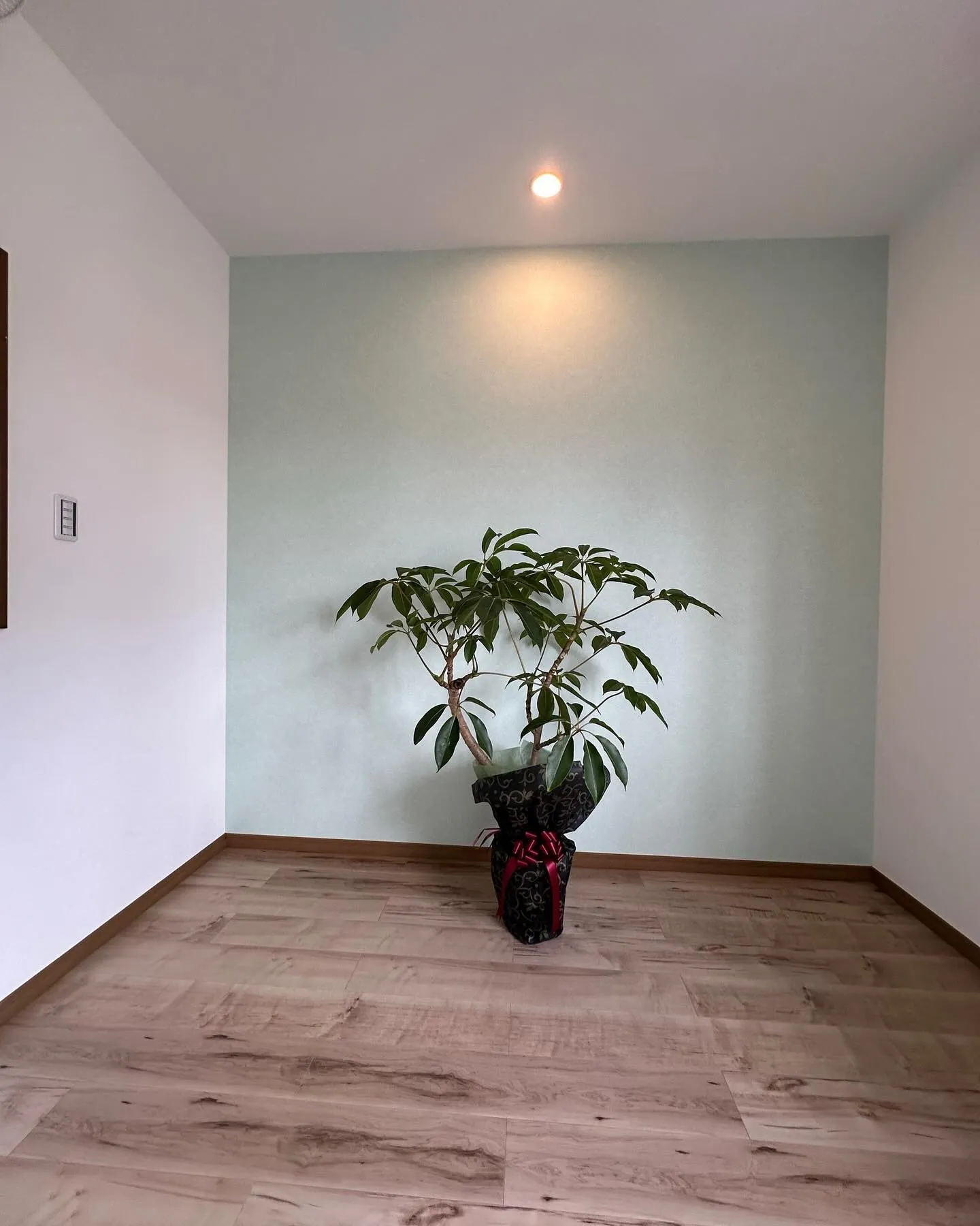 物件購入とリノベーション、無事に完了しました!🏡✨ たくさん...