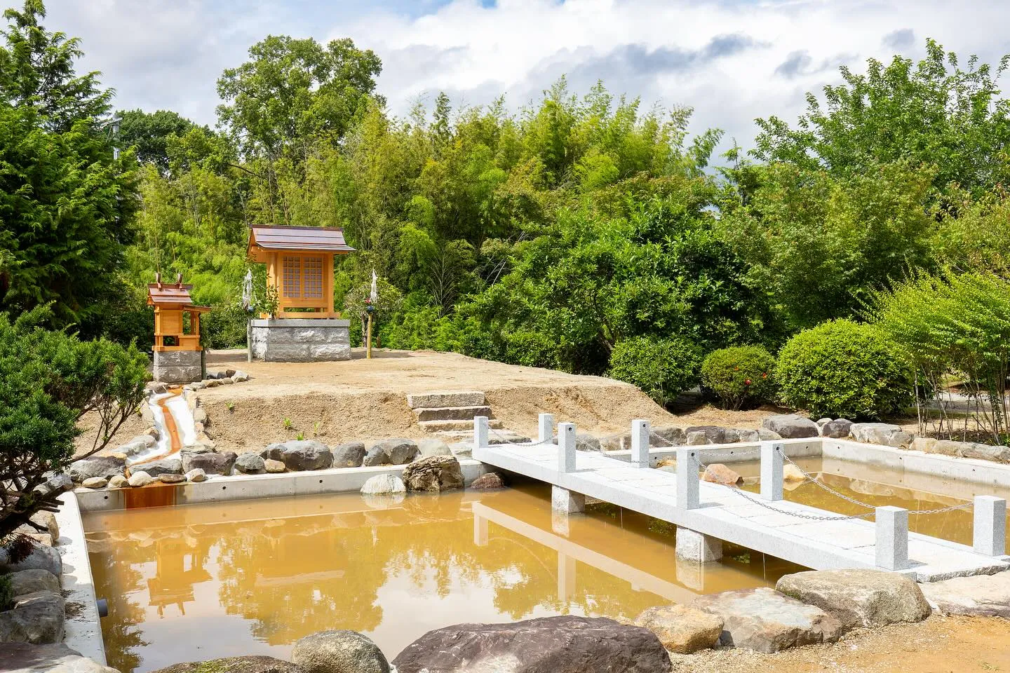 こんばんは！今日は素晴らしいニュースをお届けします🎉。