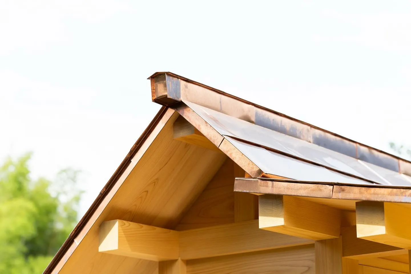 こんばんは！今日は素晴らしいニュースをお届けします🎉。