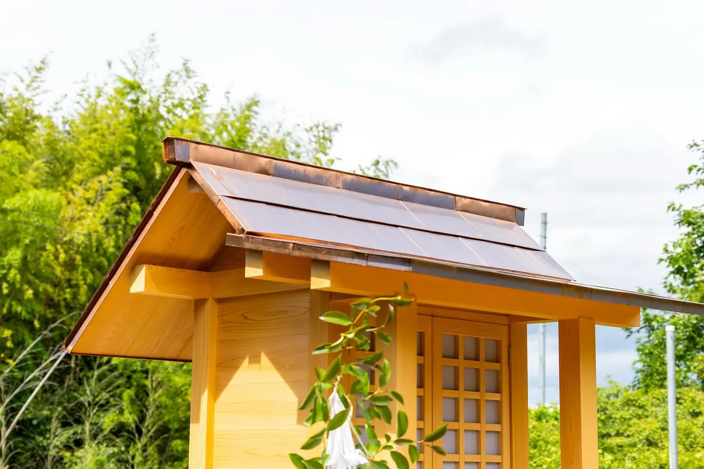 こんばんは！今日は素晴らしいニュースをお届けします🎉。