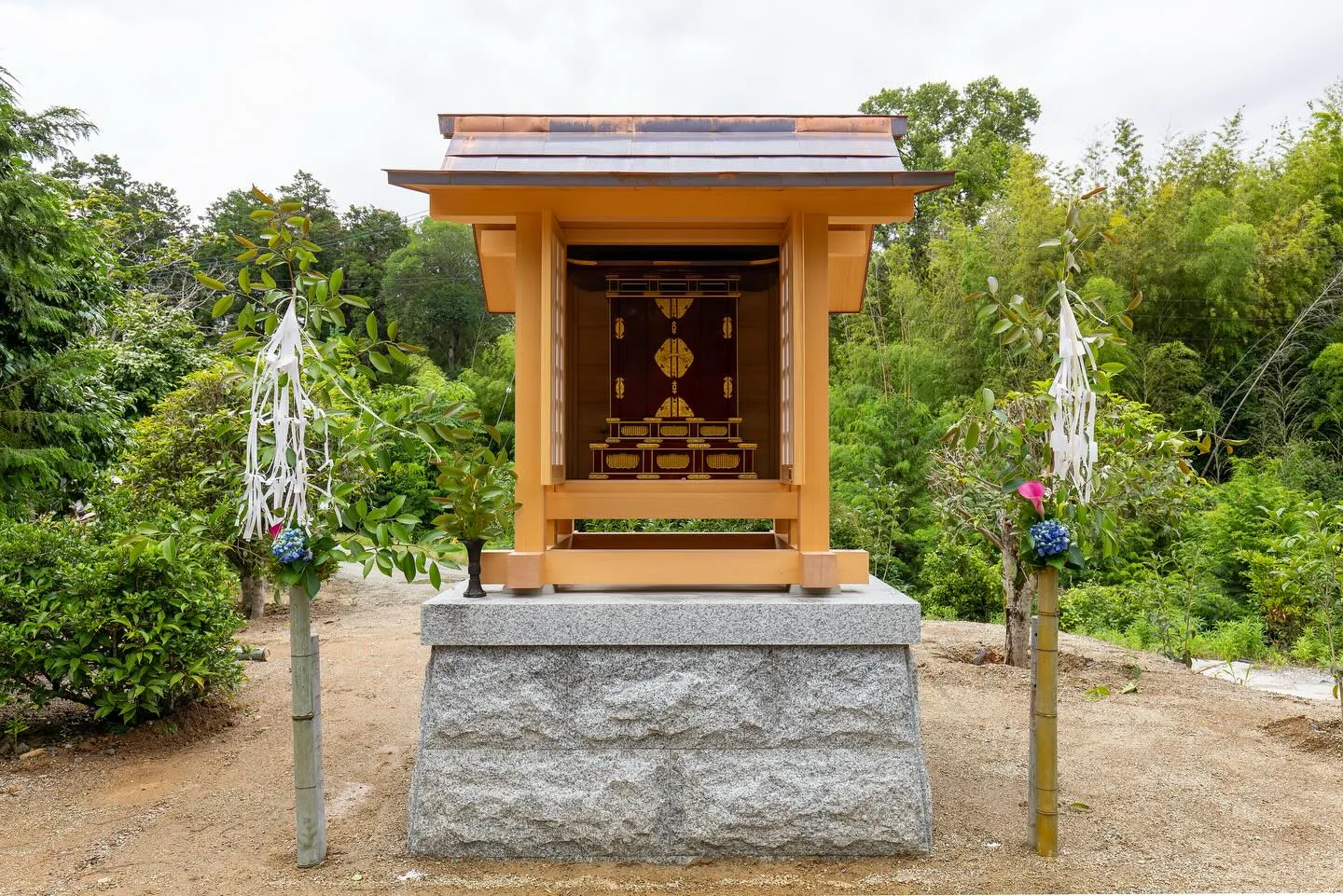 こんばんは！今日は素晴らしいニュースをお届けします🎉。