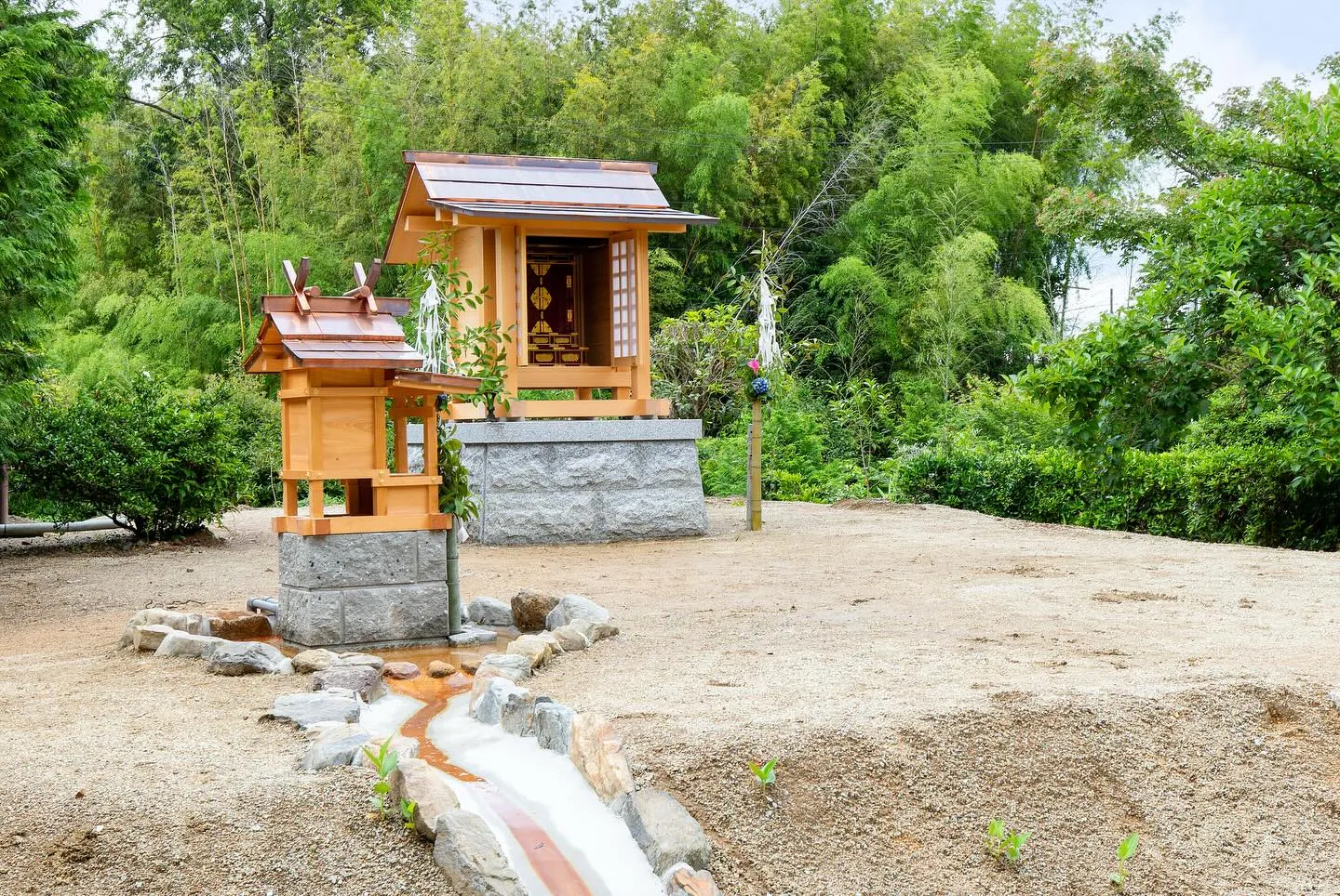 こんばんは！今日は素晴らしいニュースをお届けします🎉。