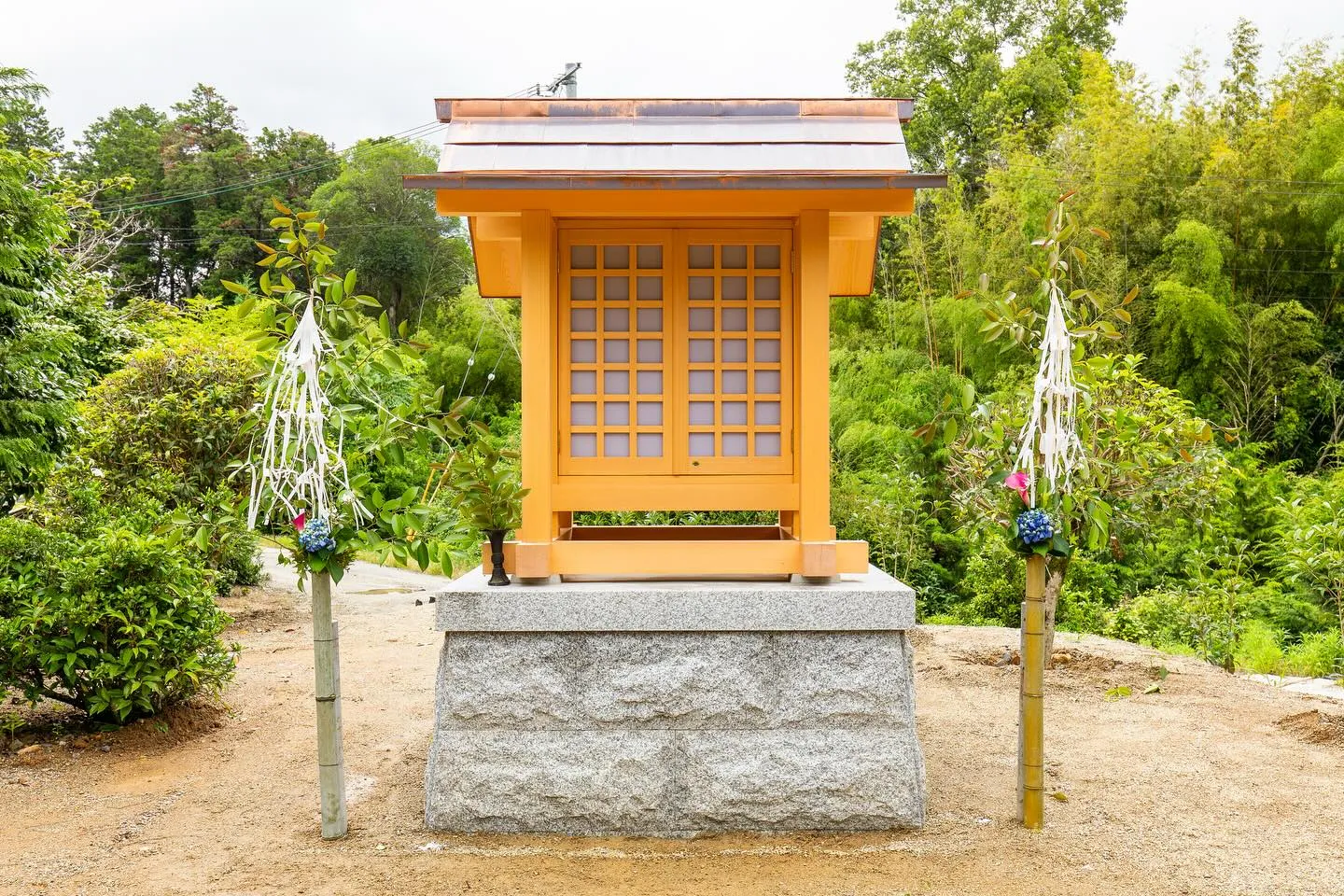 こんばんは！今日は素晴らしいニュースをお届けします🎉。