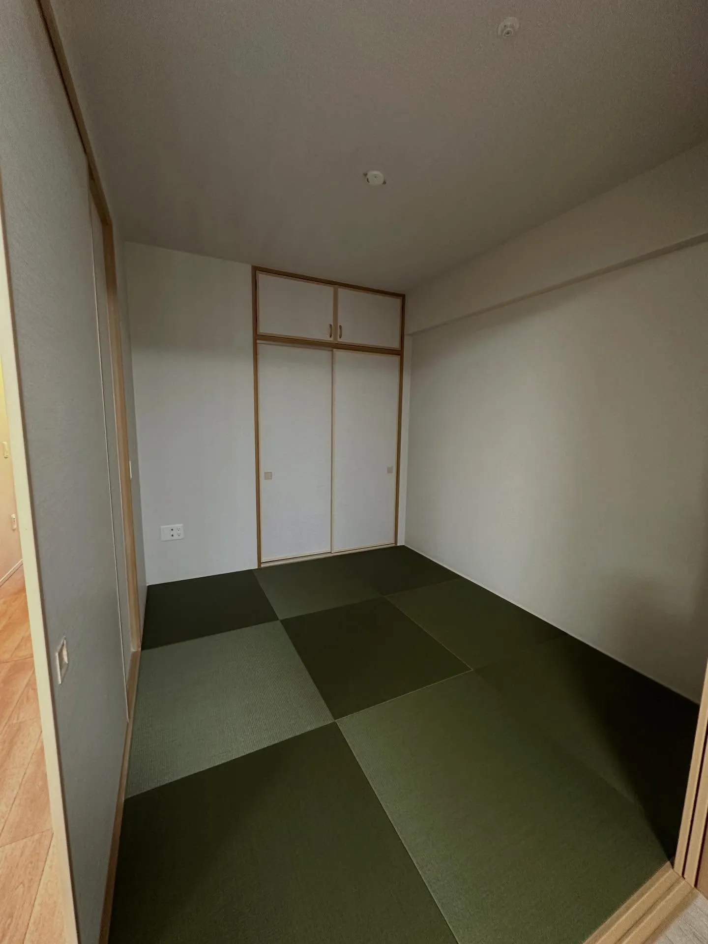 こんばんは♪夜分に失礼いたします。