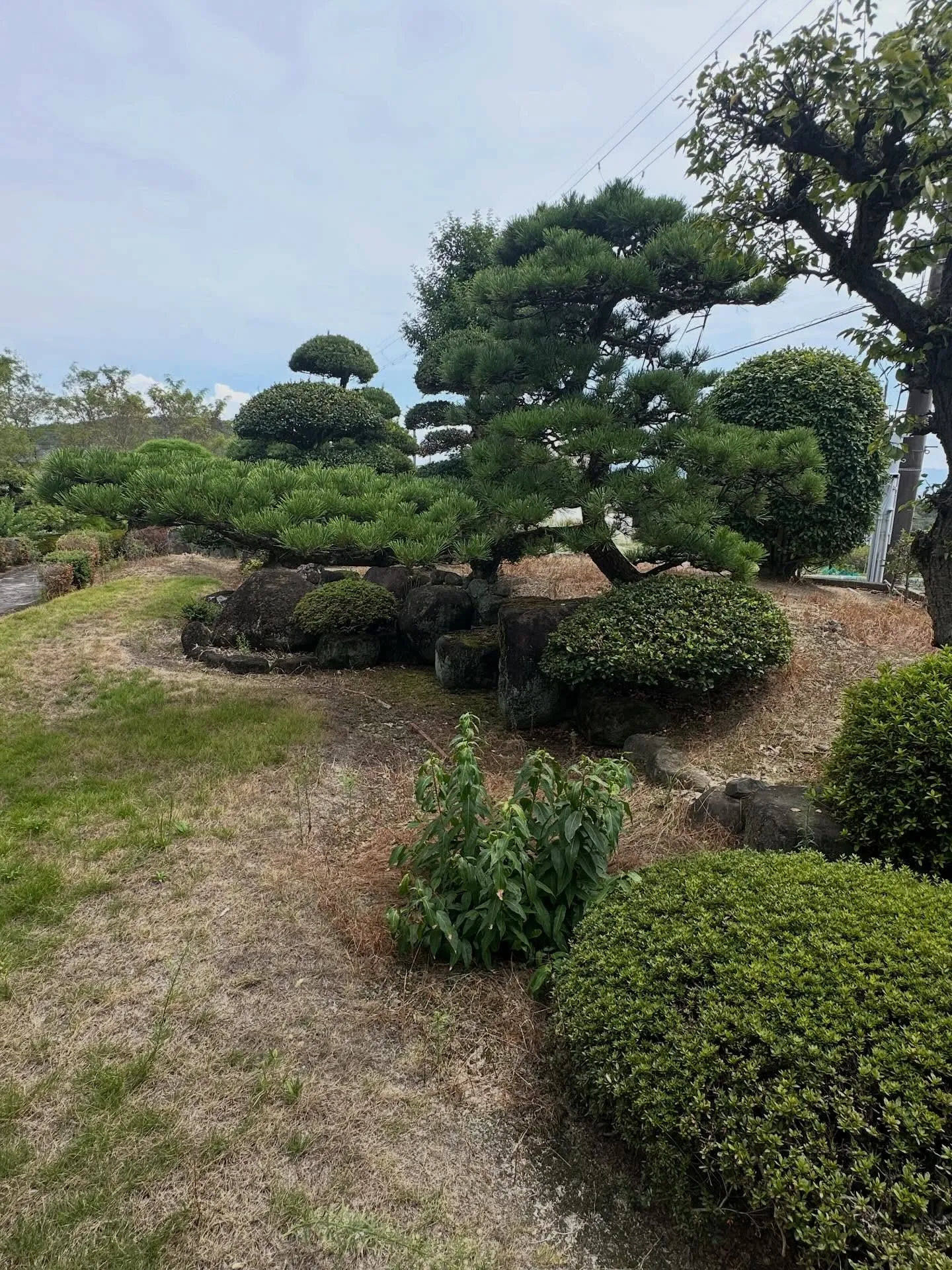 お疲れ様です。