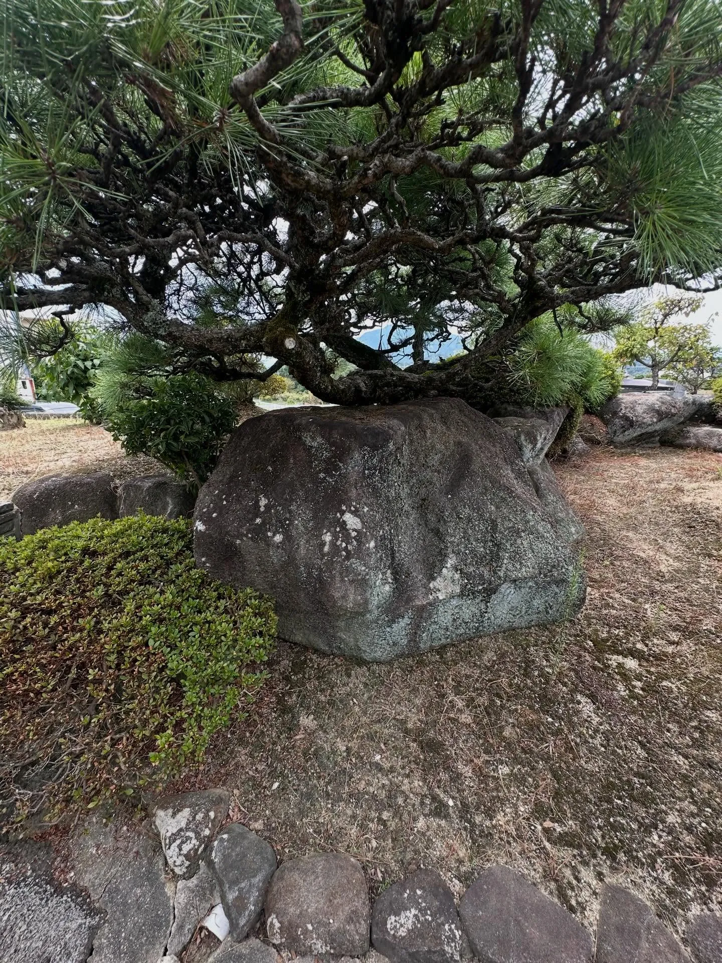 お疲れ様です。