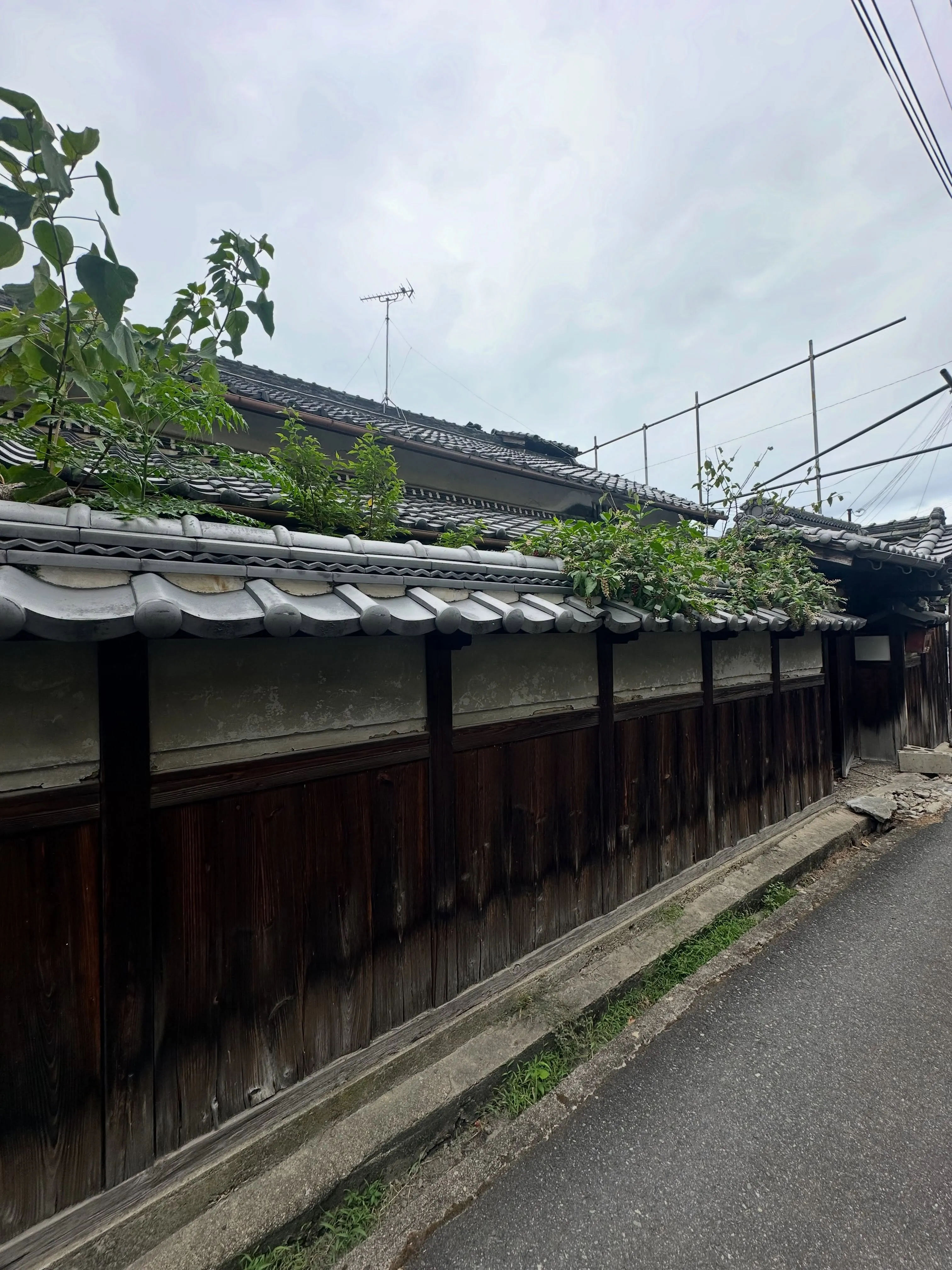 暑い中でも無事に解体作業が完了いたしました🙌